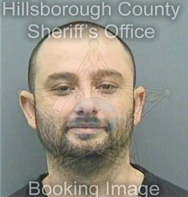 Husejnovic Dzevad - Hillsborough County, FL 