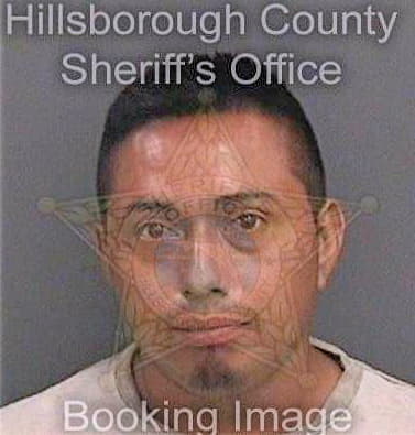 Espinosaperez Jose - Hillsborough County, FL 