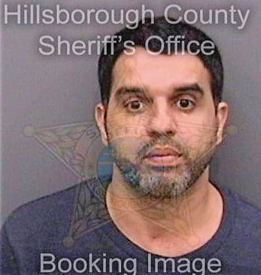 Mohammad Waleed - Hillsborough County, FL 