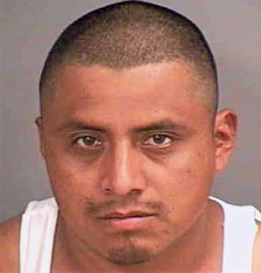 Hernandez Jener - Collier County, FL 