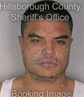 Mejia Miguel - Hillsborough County, FL 