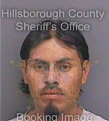 Castrosantiago Felix - Hillsborough County, FL 