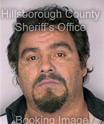 Mendoza Sergio - Hillsborough County, FL 