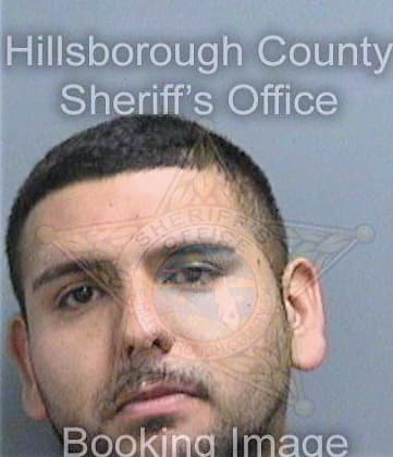 Gonzalez Cesar - Hillsborough County, FL 