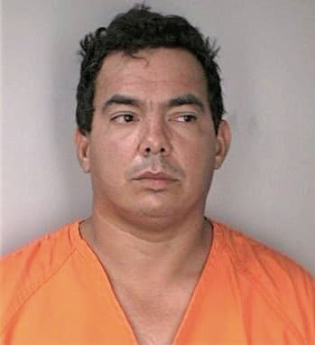 Fuentes Enech - Hillsborough County, FL 