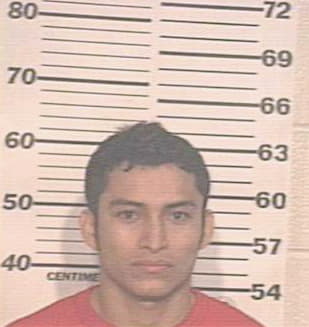 Hernandez Noel - Hidalgo County, TX 