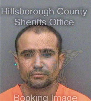 Contresasornelas Carlos - Hillsborough County, FL 