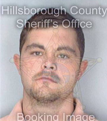 Mckenzie Phillip - Hillsborough County, FL 