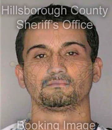 Figueroa Reinaldo - Hillsborough County, FL 