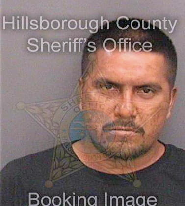 Hernandezrivera Edgar - Hillsborough County, FL 