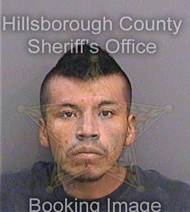 Cruzflores Juan - Hillsborough County, FL 