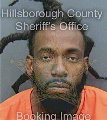 Bonheur Johny - Hillsborough County, FL 
