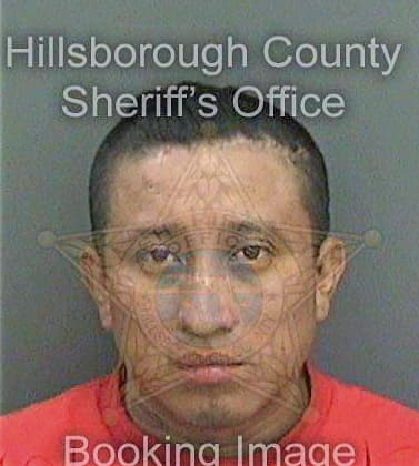 Lopezrodriguez Oliver - Hillsborough County, FL 