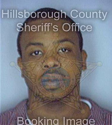 Hollis Sergio - Hillsborough County, FL 