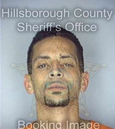 Gonzalez William - Hillsborough County, FL 