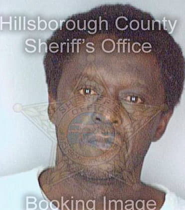 Mcduffie Victor - Hillsborough County, FL 