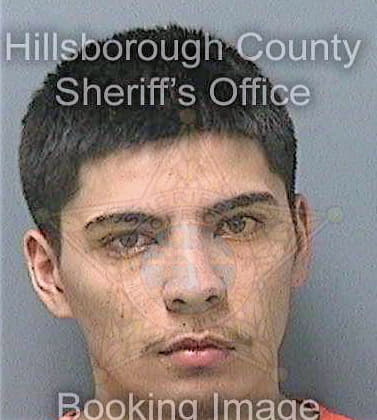 Torres Jesus - Hillsborough County, FL 