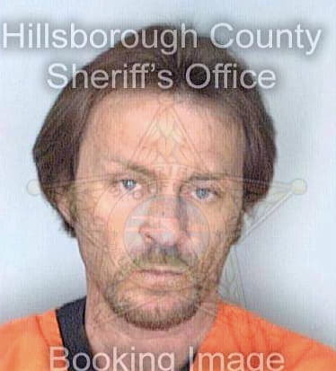Mcdaniel Steven - Hillsborough County, FL 