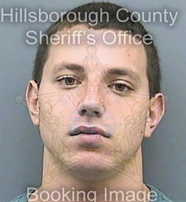 Golzer Filipe - Hillsborough County, FL 