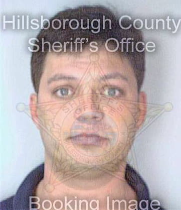 Soenksen Jhon - Hillsborough County, FL 