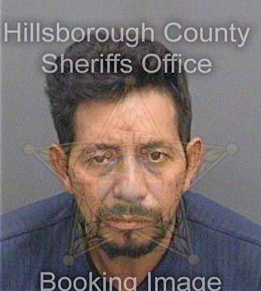 Garcia Lauterio - Hillsborough County, FL 