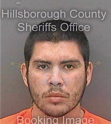 Vasquez Adan - Hillsborough County, FL 