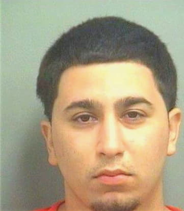 Araujo Gerardo - PalmBeach County, FL 