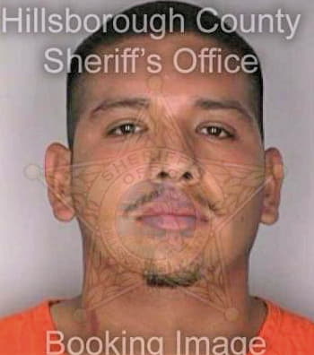 Herrera Jorge - Hillsborough County, FL 