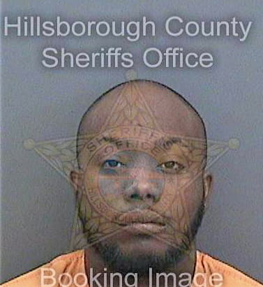 Johnson Rodney - Hillsborough County, FL 