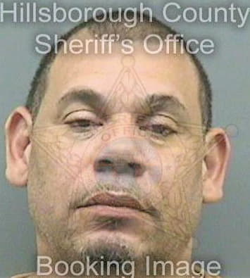 Pena Edwin - Hillsborough County, FL 