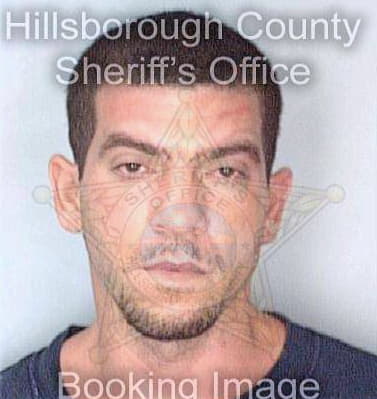 Llera Nestor - Hillsborough County, FL 