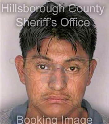 Hernandez Betthuel - Hillsborough County, FL 