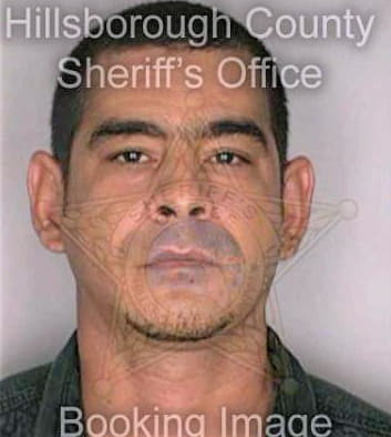 Sotelo Andres - Hillsborough County, FL 