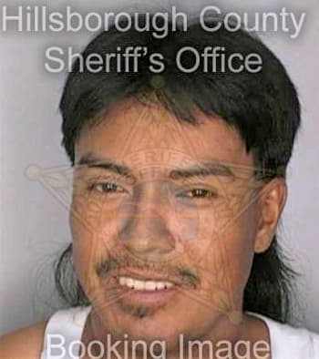 Mejia Benigno - Hillsborough County, FL 