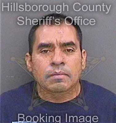 Jimenezaguilar Jesus - Hillsborough County, FL 