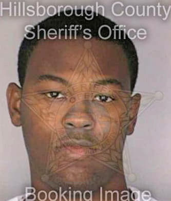 Bostick Monty - Hillsborough County, FL 