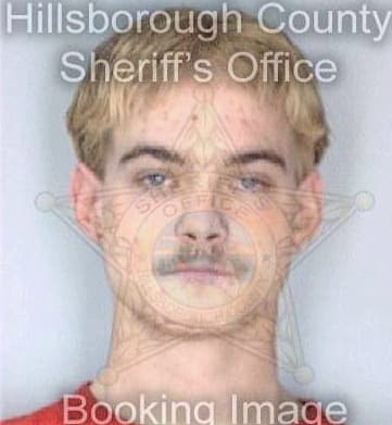 Lewis Andrew - Hillsborough County, FL 