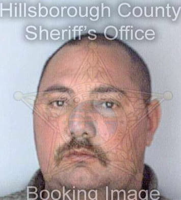 Silva Mario - Hillsborough County, FL 