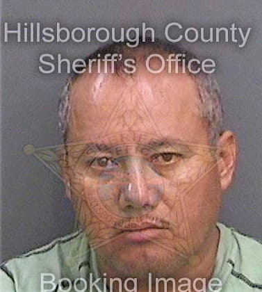 Maldonado Carlos - Hillsborough County, FL 