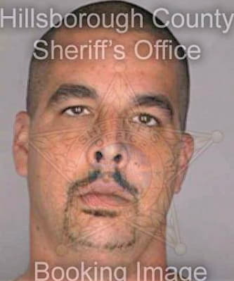 Bonkoski David - Hillsborough County, FL 