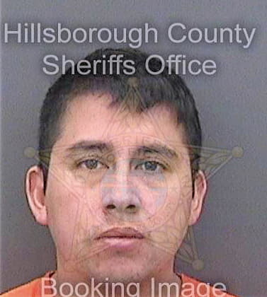 Arce Luis - Hillsborough County, FL 