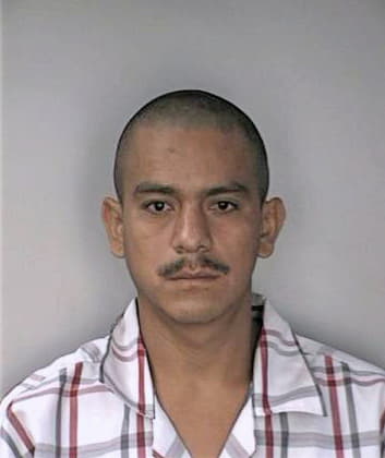 Salinas Felipe - Hillsborough County, FL 