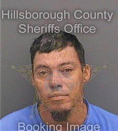 Mendoza Sergio - Hillsborough County, FL 