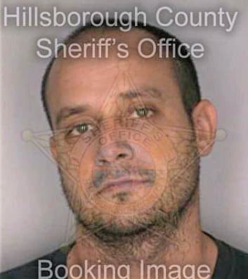 Michels Derick - Hillsborough County, FL 