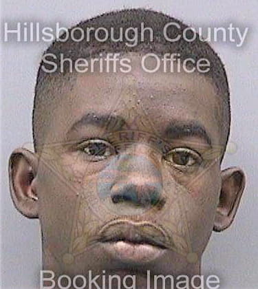 Malloy Terrance - Hillsborough County, FL 