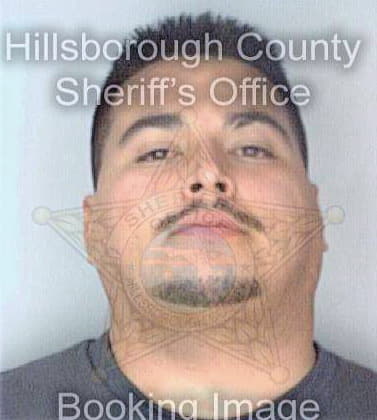 Garcia Eric - Hillsborough County, FL 