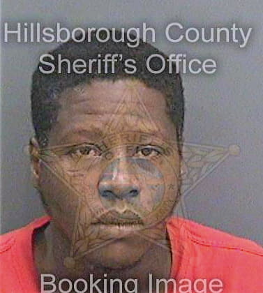 Davis Reginald - Hillsborough County, FL 