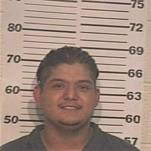 Pulido Alan - Hidalgo County, TX 