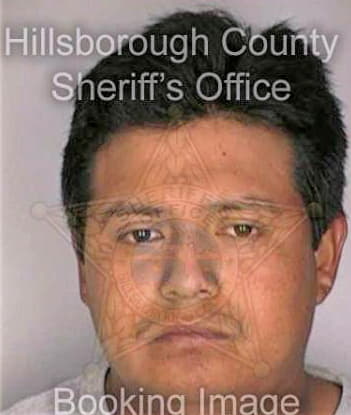 Diazrodriguez Lugo - Hillsborough County, FL 