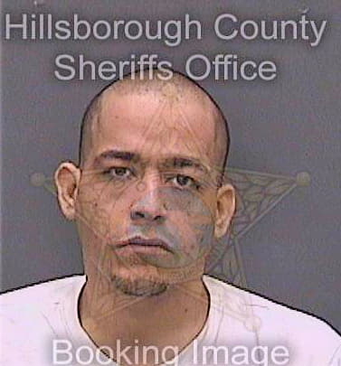 Martinez-Santos Nelson - Hillsborough County, FL 